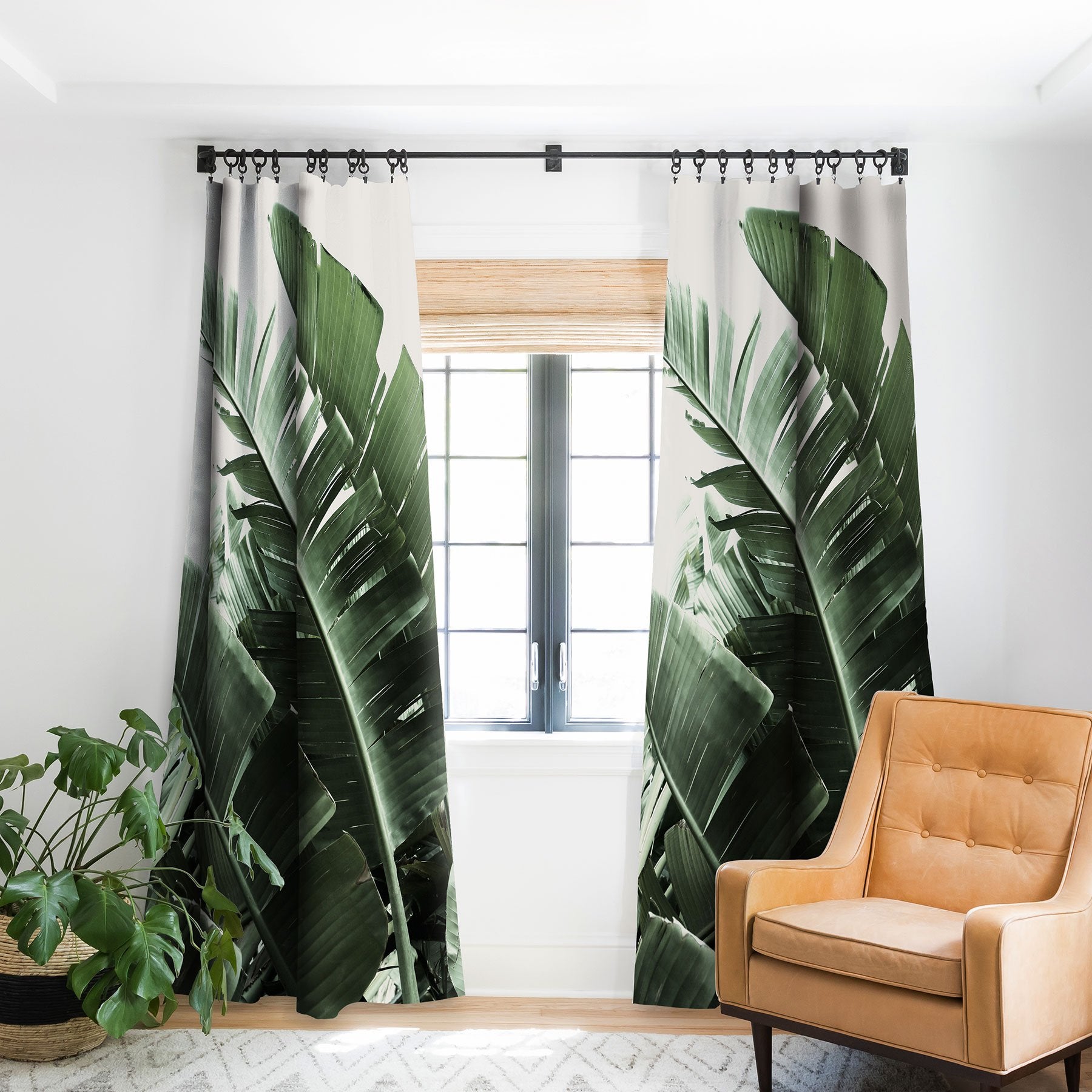 Ballack Art House Jungle Boogie Window Treatment - Decor Addict, LLC