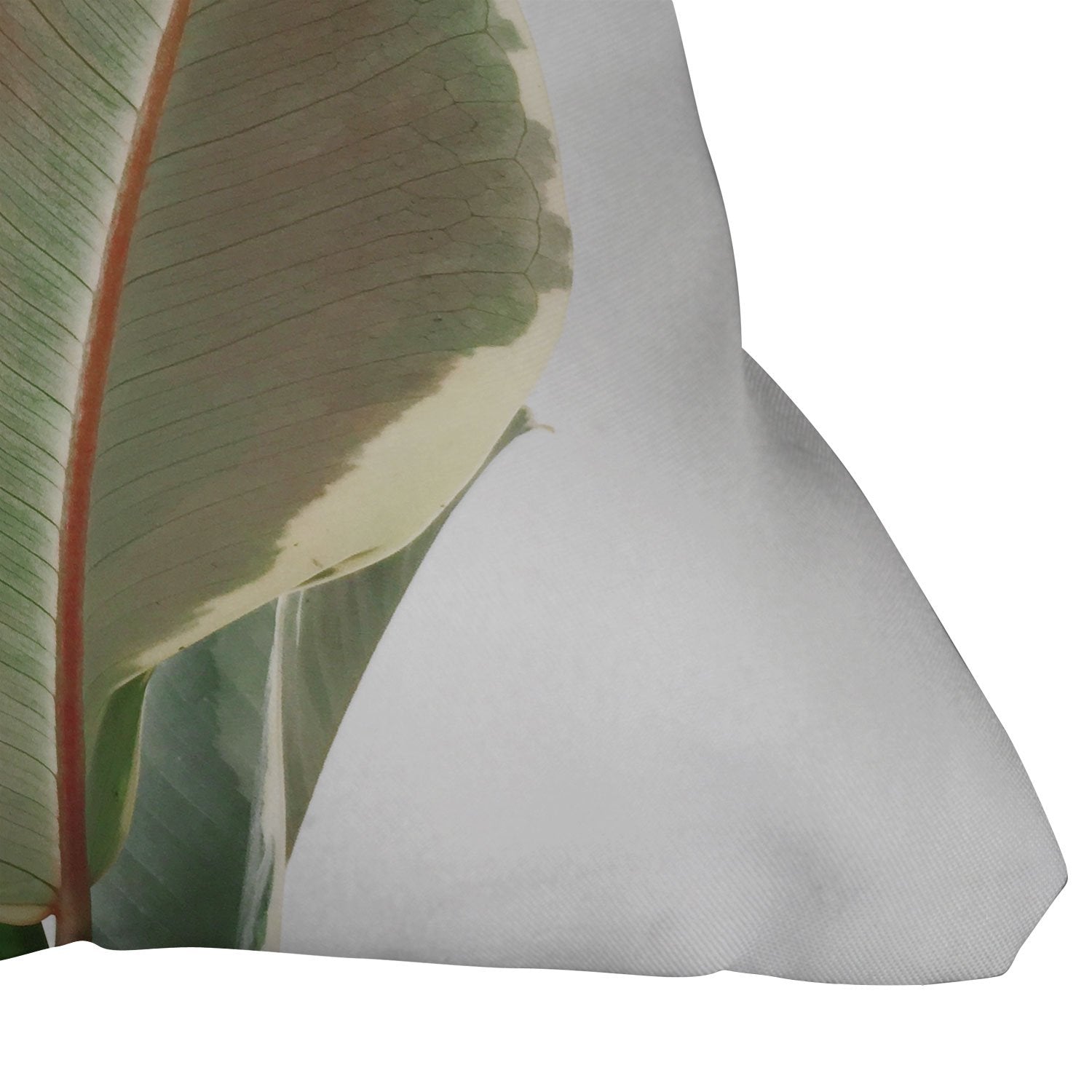 Cassia Beck Ficus Tineke Throw Pillow - Decor Addict, LLC