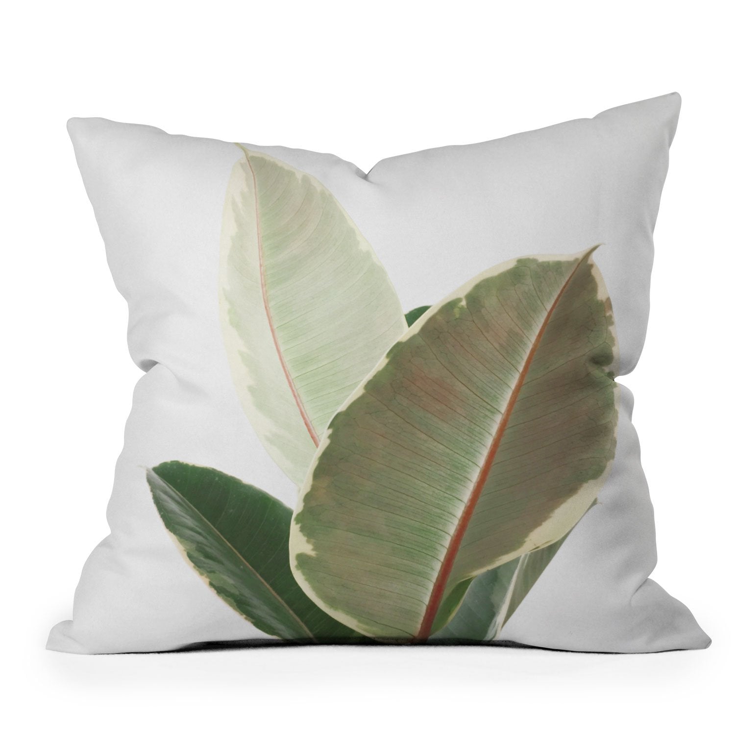Cassia Beck Ficus Tineke Throw Pillow - Decor Addict, LLC