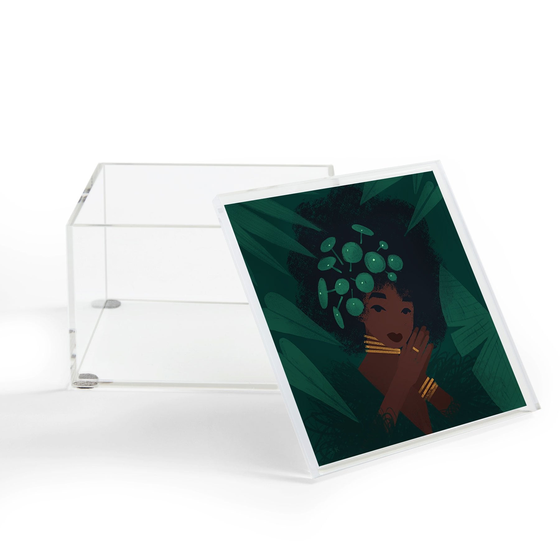 Sabrena Khadija Pilea 81Acrylic Storage - Decor Addict, LLC