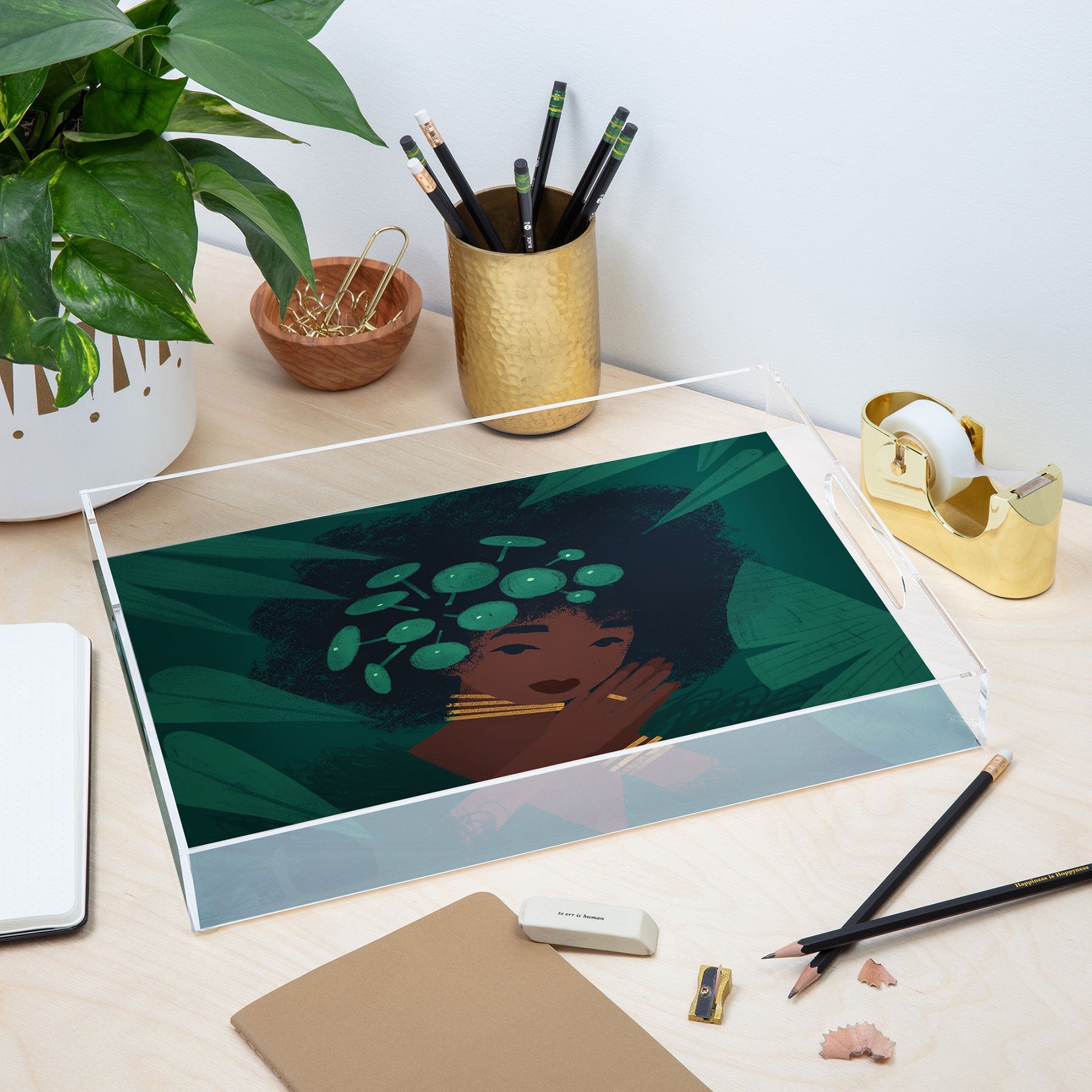 Sabrena Khadija Pilea 81Acrylic Storage - Decor Addict, LLC