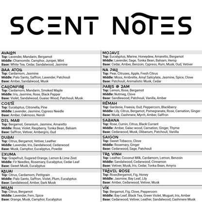 Glass Beaker Reed Diffuser with Jumbo Fiber Reed Stick: Baa Atoll - Decor Addict, LLC