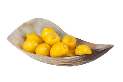 Versatile Bagala Horn Decor / Display Bowl - Decor Addict, LLC