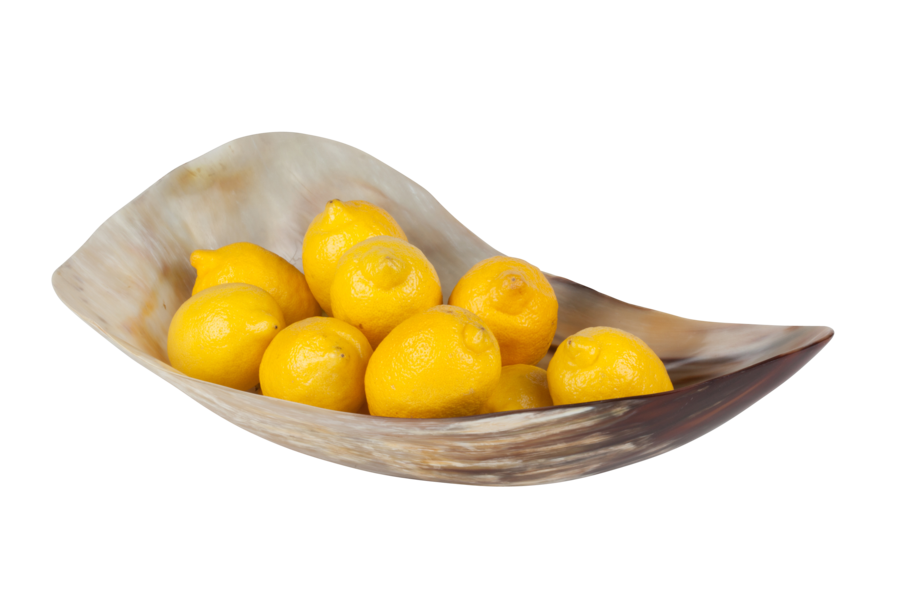 Versatile Bagala Horn Decor / Display Bowl - Decor Addict, LLC