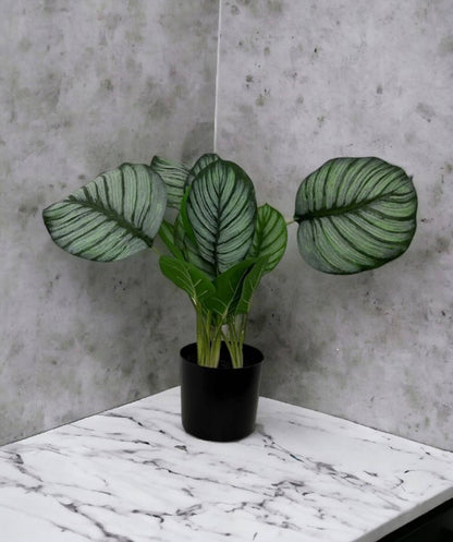 Faux Marantaceae w/ Pot 21"H: PVC GRASS / PLASTIC POT - Decor Addict, LLC