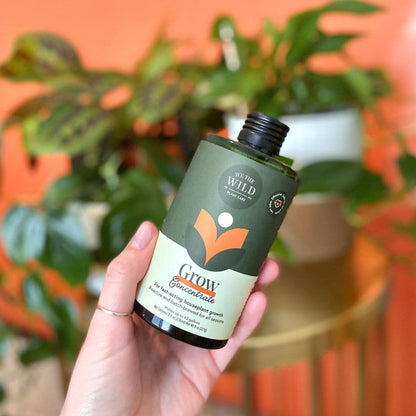 Revive and Thrive Duo Kit - Decor Addict, LLC