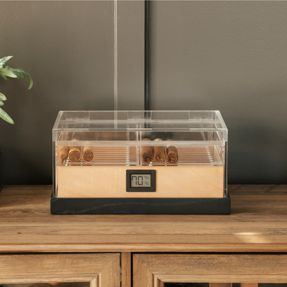 Felix Pro Tupperdor - Acrylic Humidor - Decor Addict, LLC