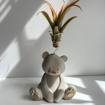 Bear Air Plant Holder: Pink - Decor Addict, LLC