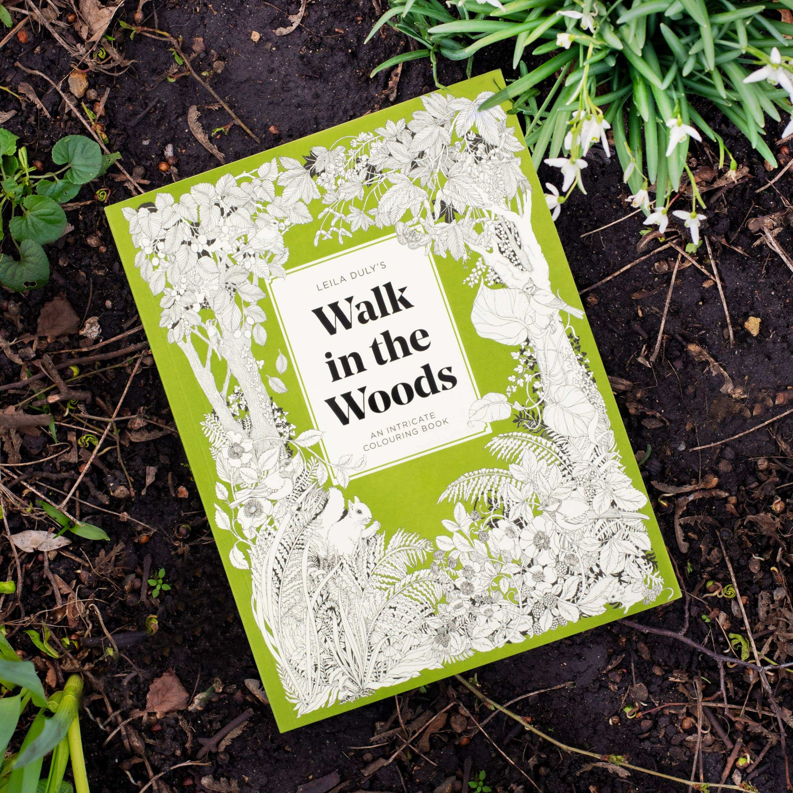 Leila Duly's Walk in the Woods - Decor Addict, LLC