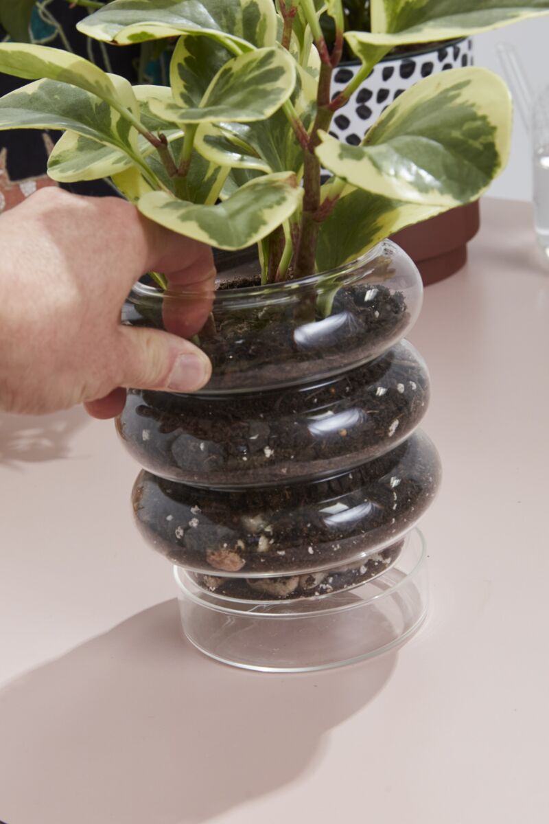 Stacked Rings Glass Pot with Saucer