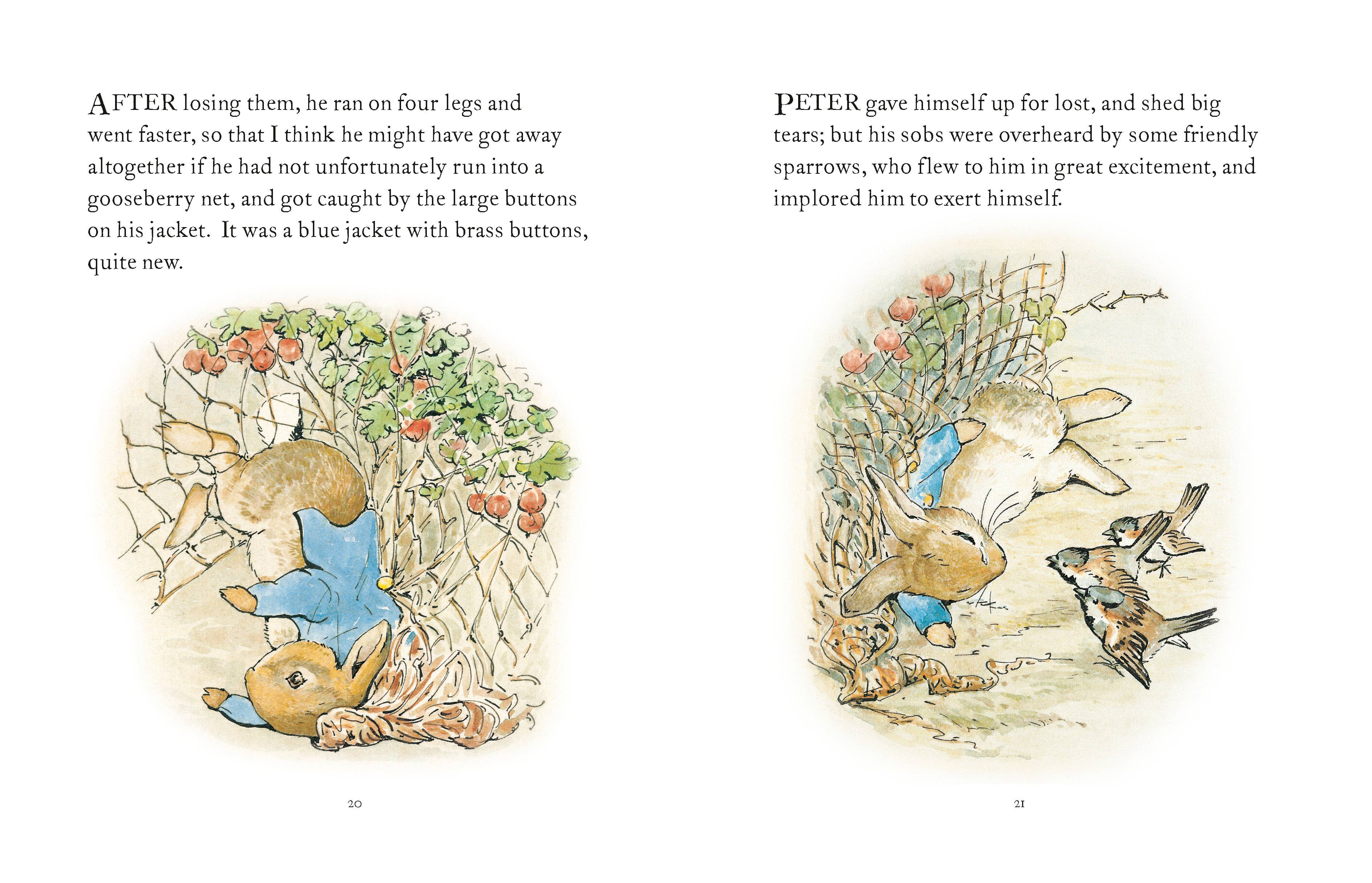 The Tale Of Peter Rabbit - Decor Addict, LLC