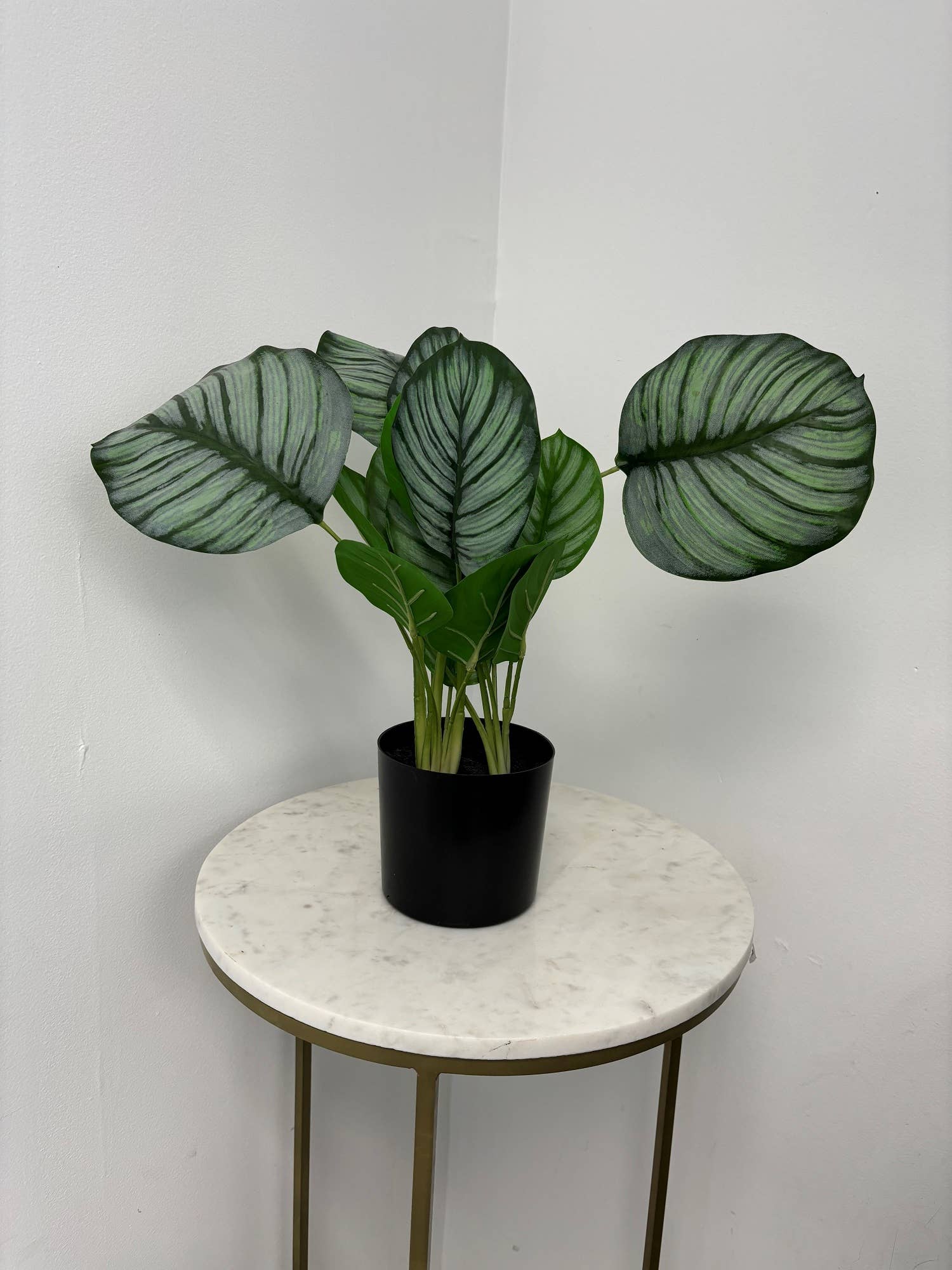 Faux Marantaceae w/ Pot 21"H: PVC GRASS / PLASTIC POT - Decor Addict, LLC