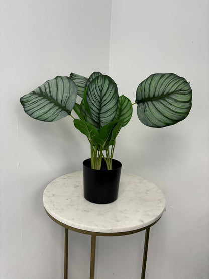 Faux Marantaceae w/ Pot 21"H: PVC GRASS / PLASTIC POT - Decor Addict, LLC