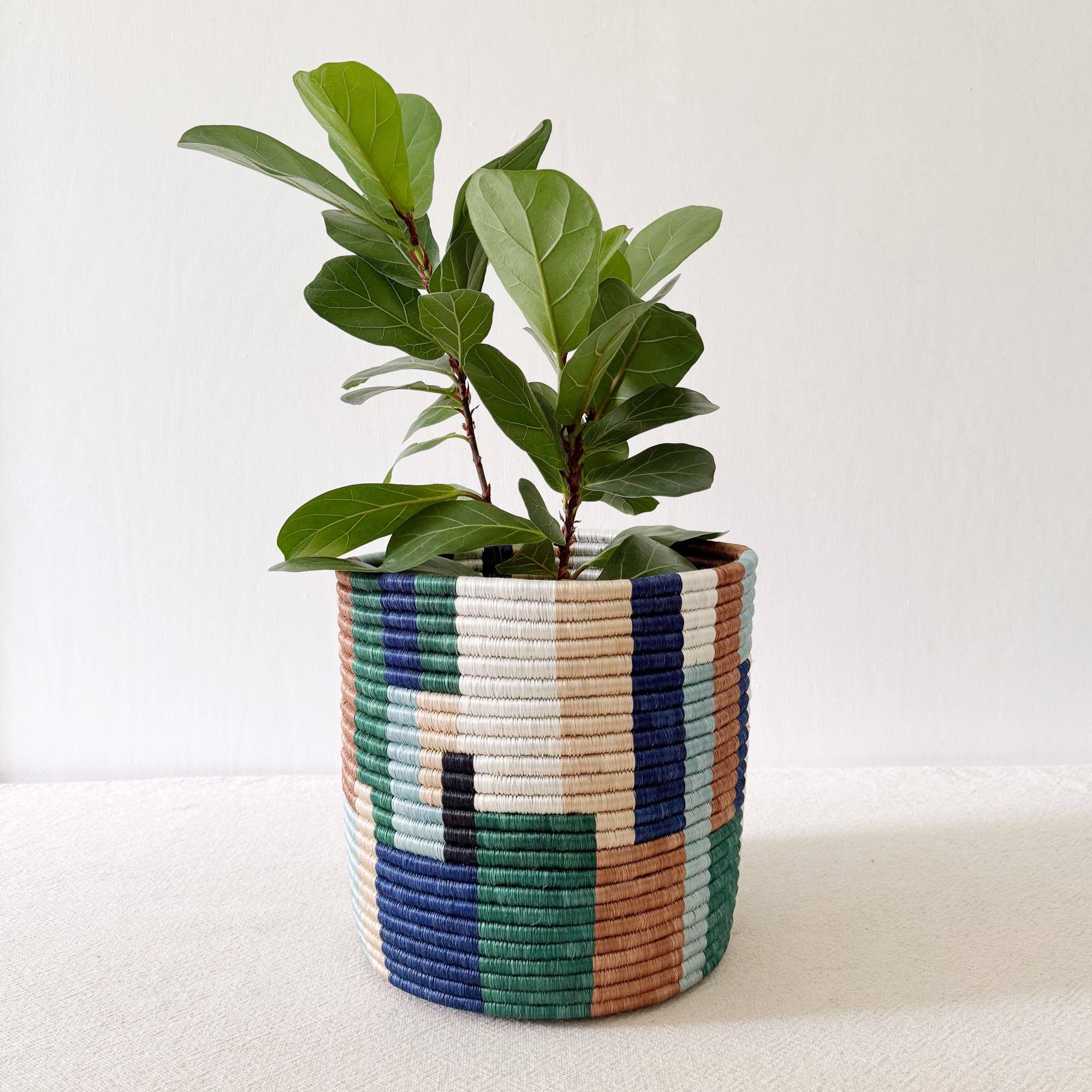 Storage Plant Basket: Shonga