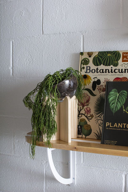 Gazer Terrarium - Decor Addict, LLC