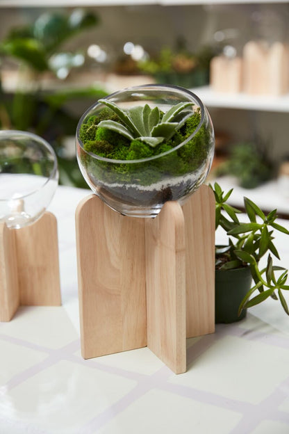 Gazer Terrarium - Decor Addict, LLC