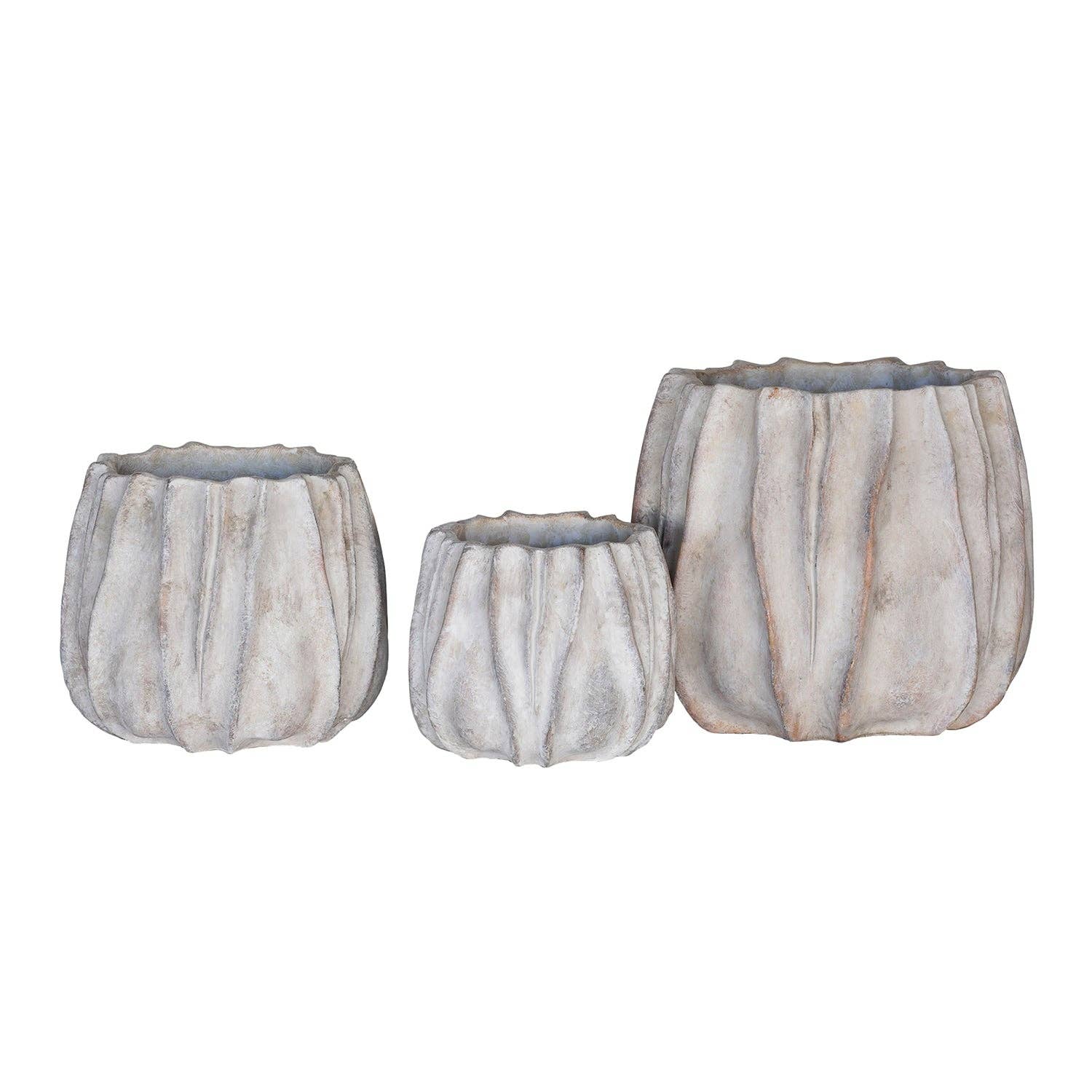 Concrete Lucid Planter, Wide: Large
