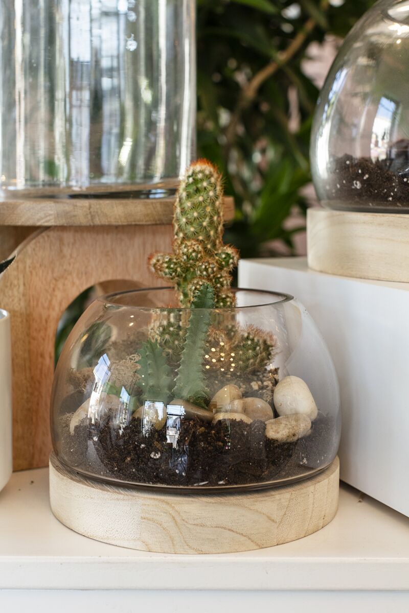 Jonah Handmade Terrarium - Thumbnail 2