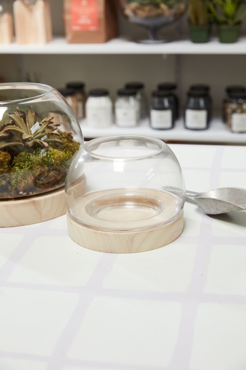 Jonah Handmade Terrarium - Thumbnail 3