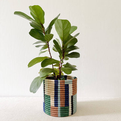 Storage Plant Basket Collection: Shonga