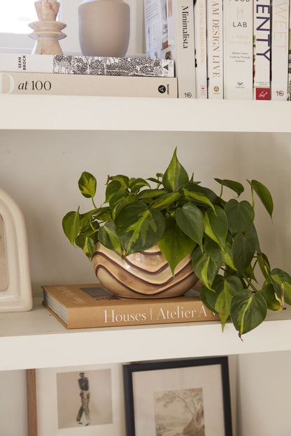 Mollino Pot — 7.5" x 4.75" - Decor Addict, LLC