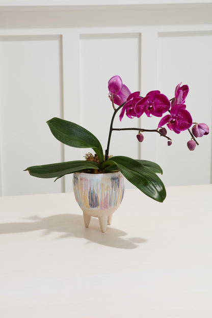 Oasis Pot - Decor Addict, LLC