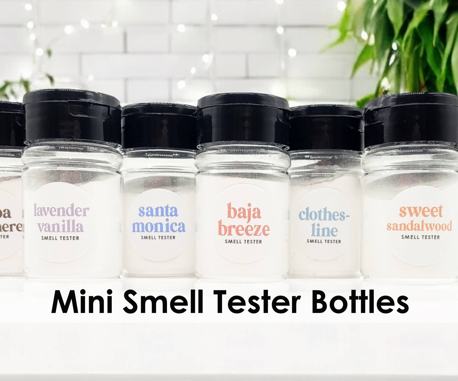 Testers | Carpet Freshener: Baja Breeze - Decor Addict, LLC