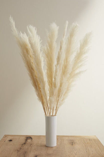 Pampas Grass Pack of 3 - 55in - White