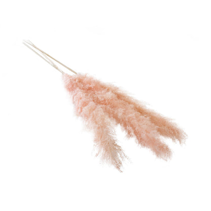 Pampas Grass Pack of 3 - 55in - Pink