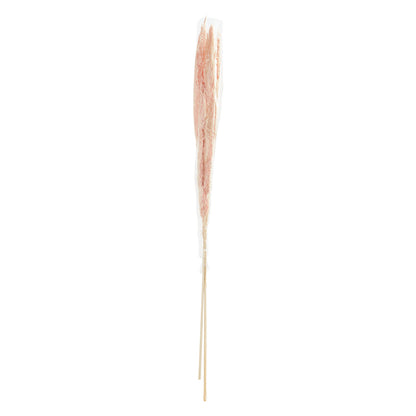 Pampas Grass Pack of 3 - 55in - Pink