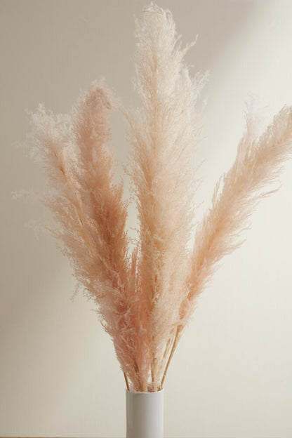 Pampas Grass Pack of 3 - 55in - Pink