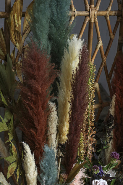 Pampas Grass Pack of 3 - 55in - Brown