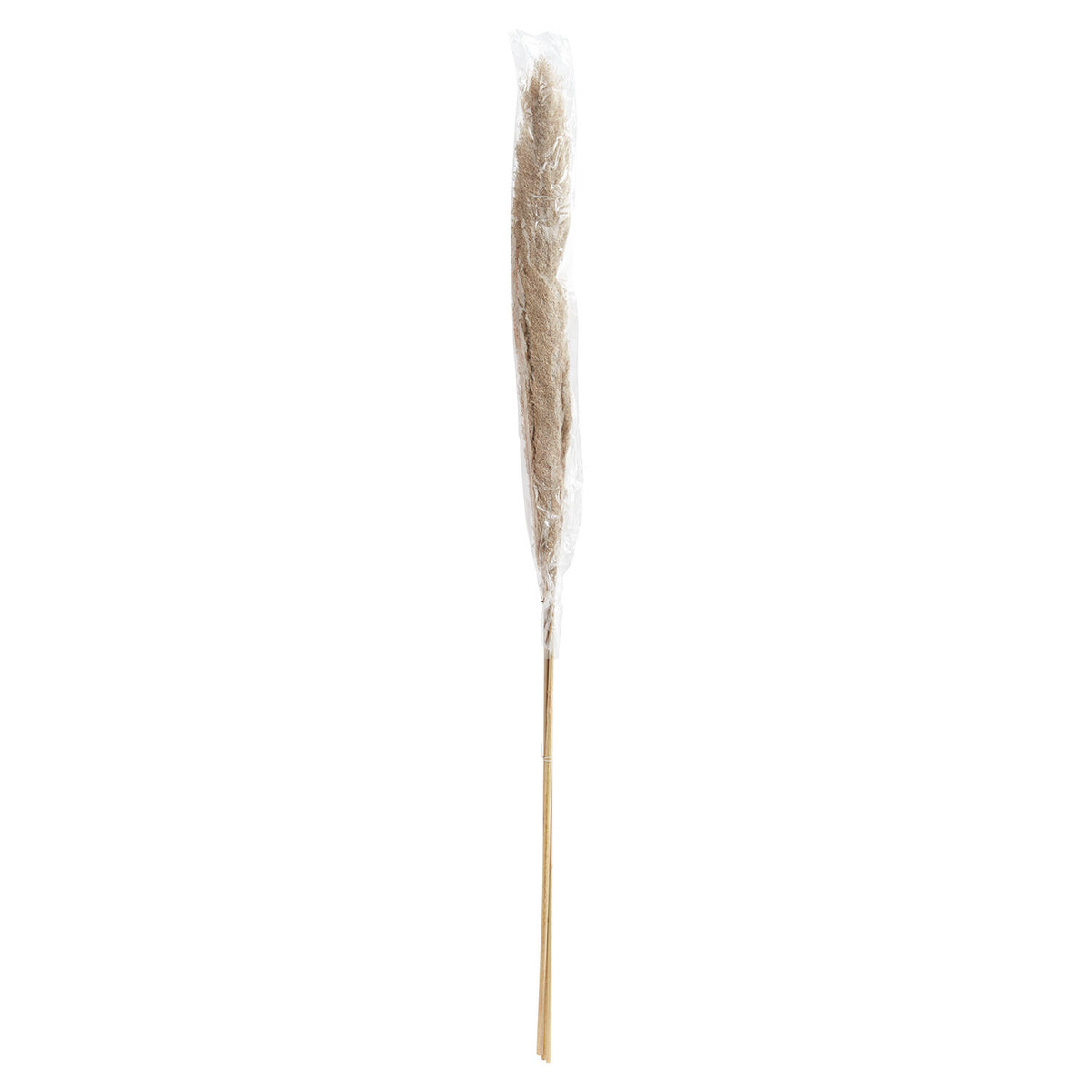Pampas Grass Pack of 3 - 55in - Grey
