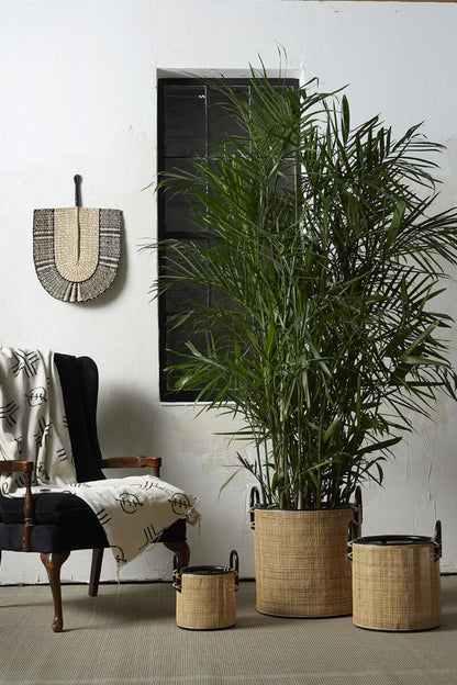 Sonder Fan 15.75"x 0.5"x 23.75" - Decor Addict, LLC