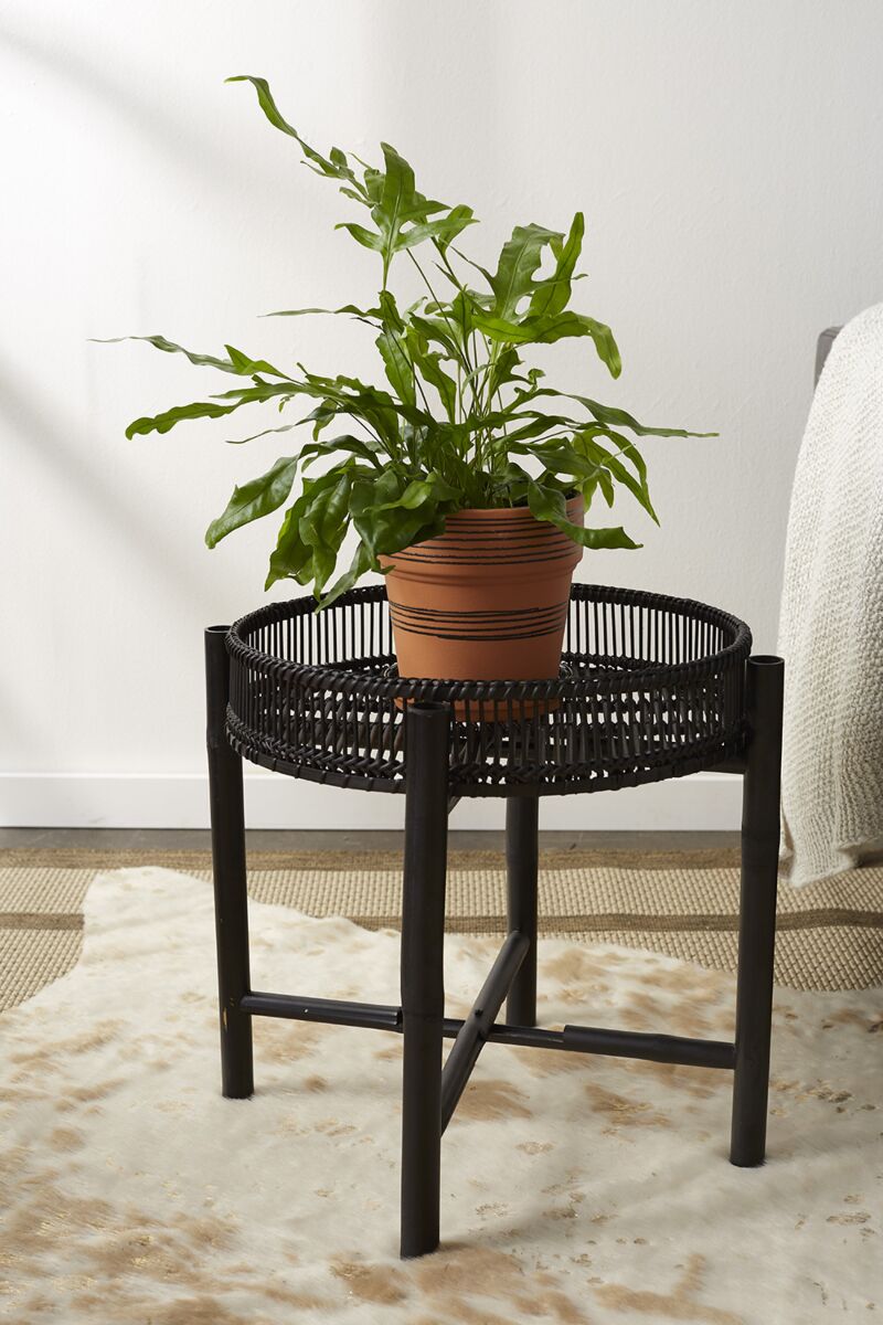 Nash Plant Stand (L) - Decor Addict, LLC