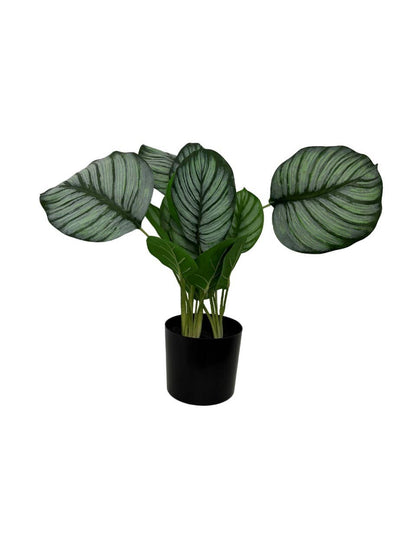 Faux Marantaceae w/ Pot 21"H: PVC GRASS / PLASTIC POT - Decor Addict, LLC