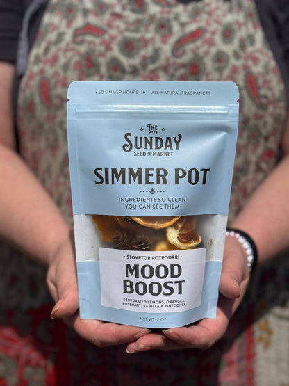 Mood Boost Simmer Pot | Lemon Orange Rosemary Vanilla - Decor Addict, LLC