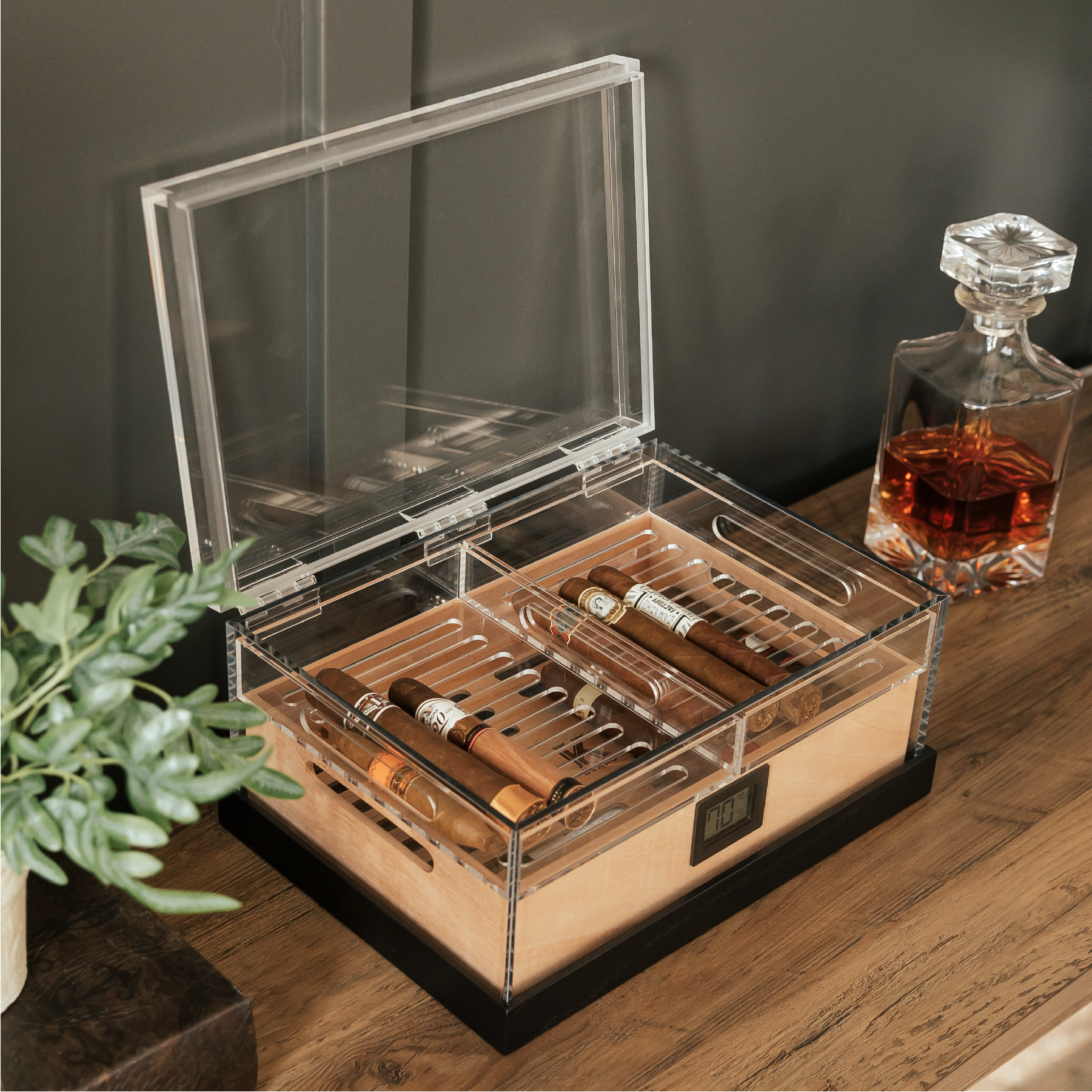 Felix Pro Tupperdor - Acrylic Humidor - Decor Addict, LLC