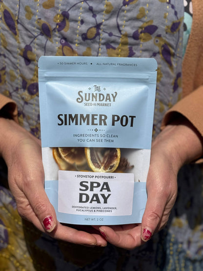 Spa Day Simmer Pot | Lemon Lavender Eucalyptus - Decor Addict, LLC