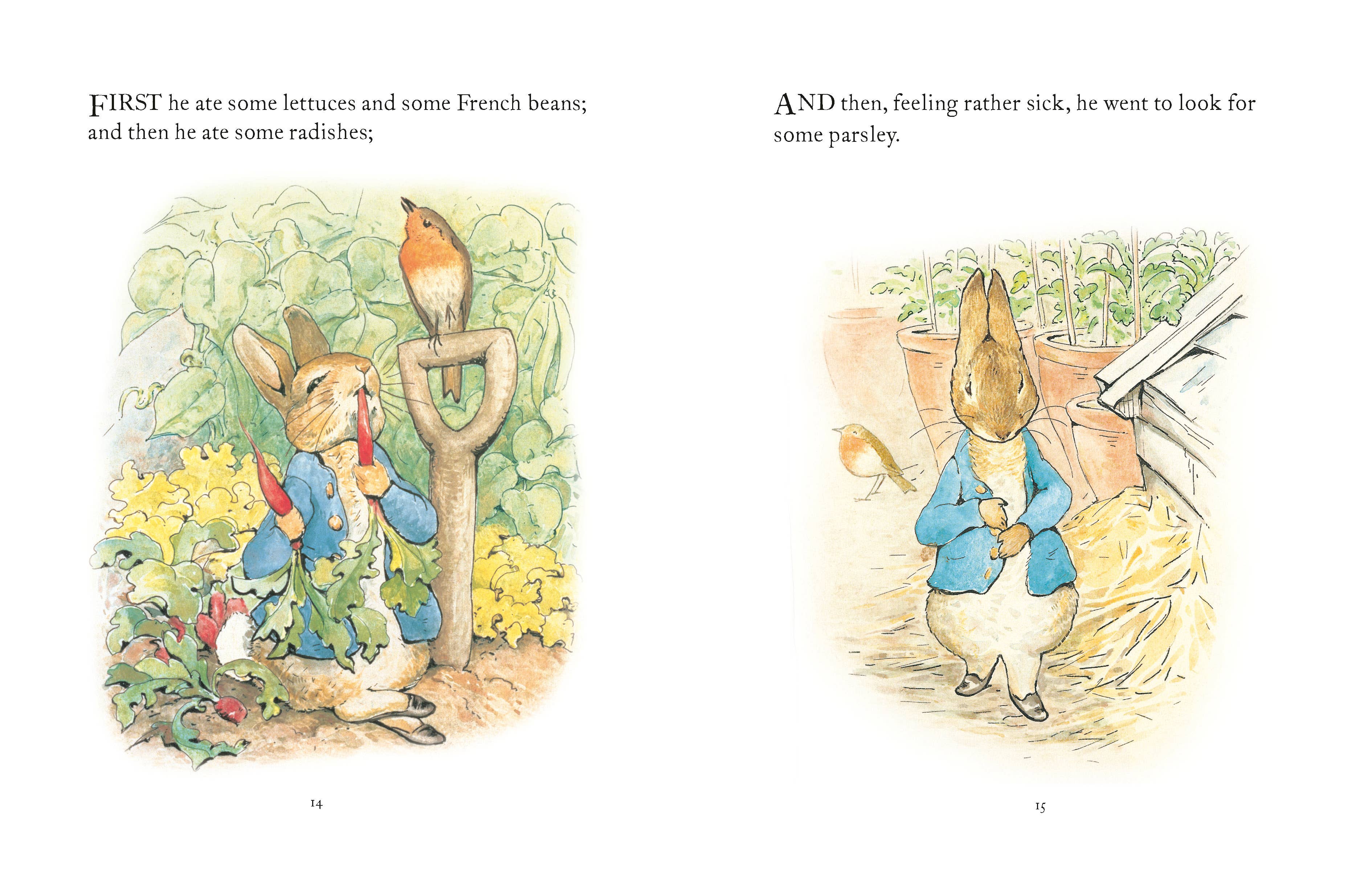 The Tale Of Peter Rabbit - Decor Addict, LLC