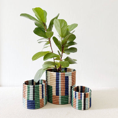 Storage Plant Basket Collection: Shonga