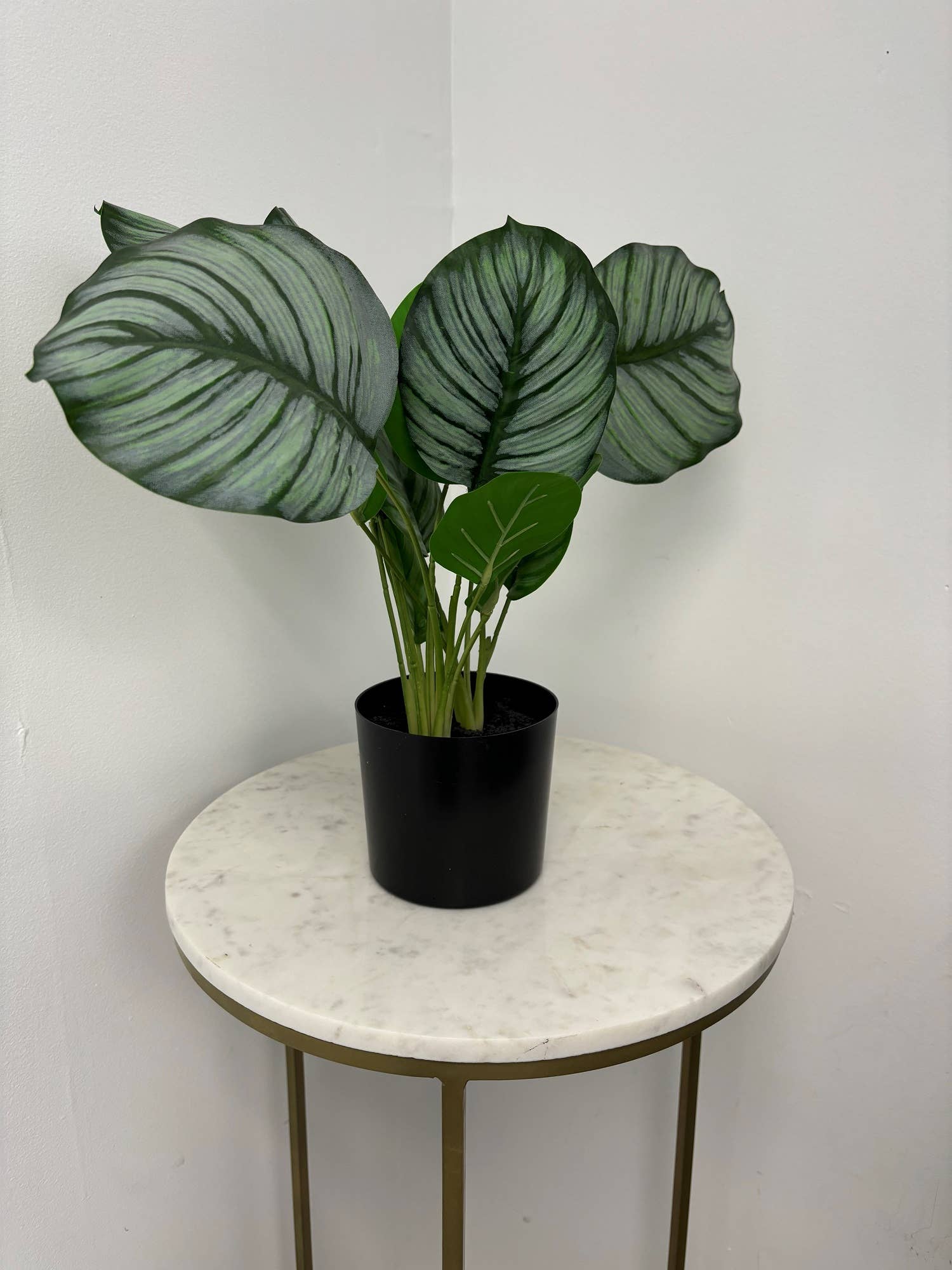 Faux Marantaceae w/ Pot 21"H: PVC GRASS / PLASTIC POT - Decor Addict, LLC