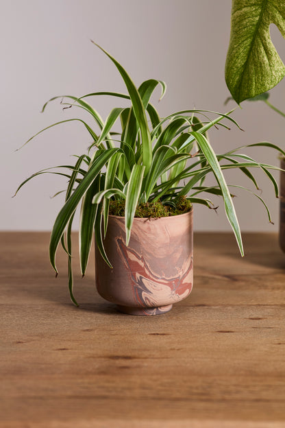 Tedros Pot