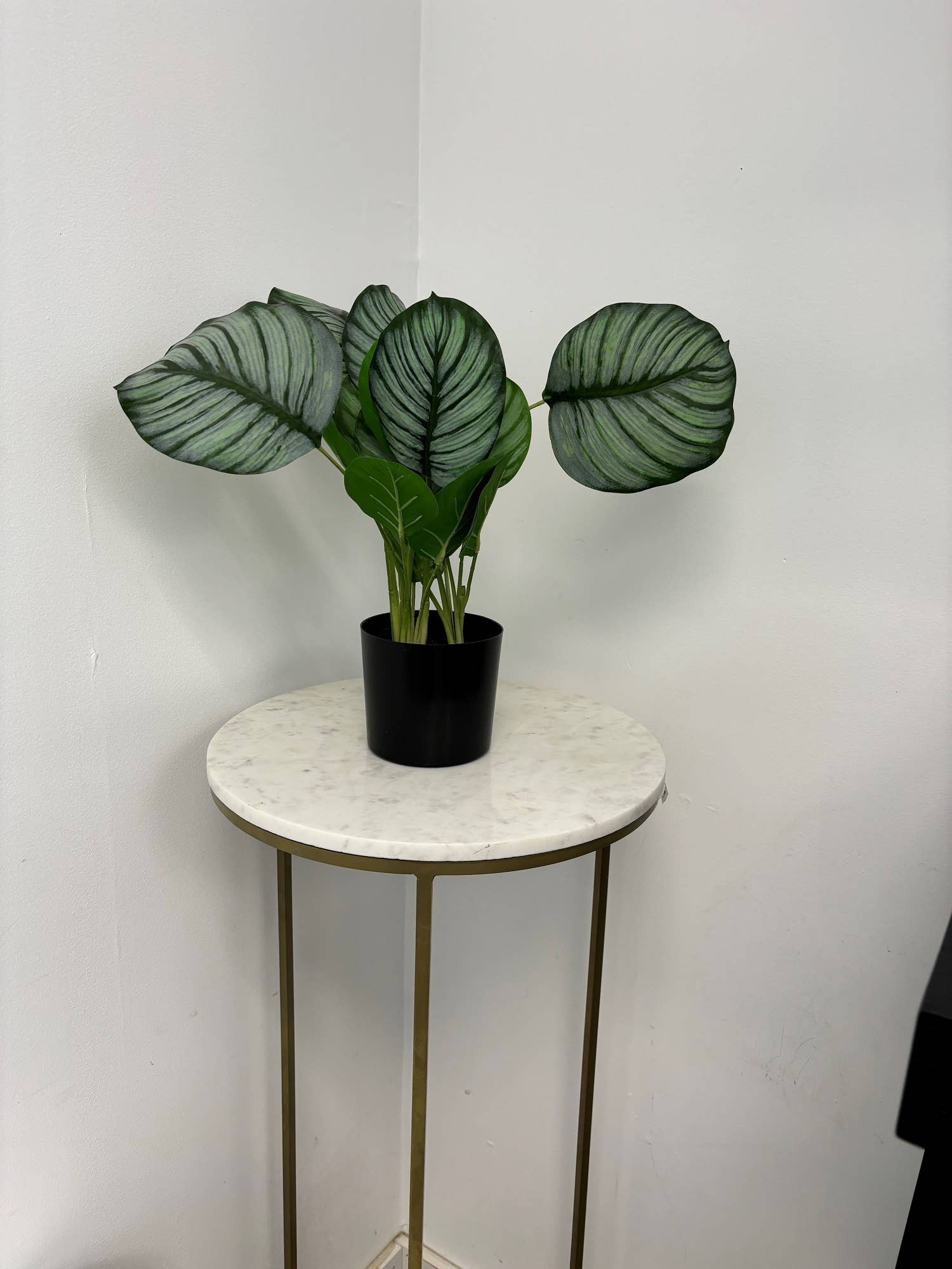 Faux Marantaceae w/ Pot 21"H: PVC GRASS / PLASTIC POT - Decor Addict, LLC