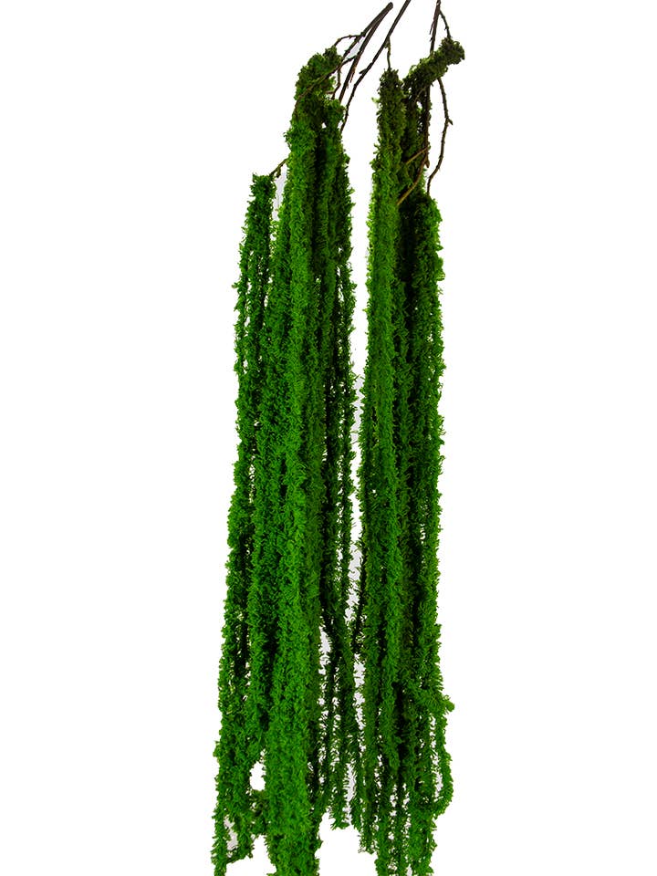 47" HANGING AMARANTHUS: GREEN - Decor Addict, LLC