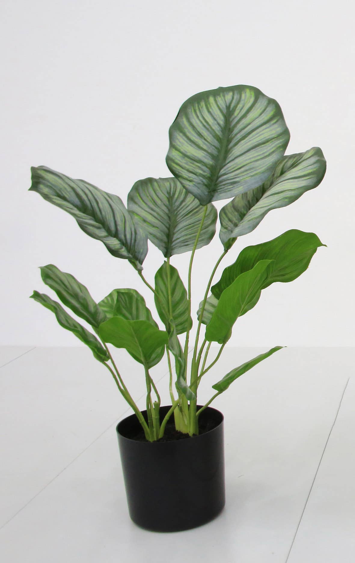 Faux Marantaceae w/ Pot 21"H: PVC GRASS / PLASTIC POT - Decor Addict, LLC