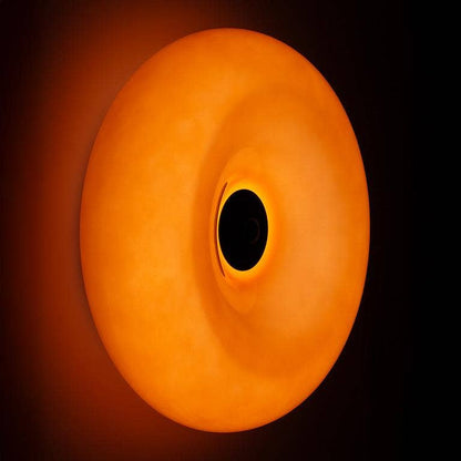 Large Donut LED Lamp