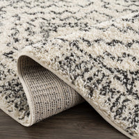 Buan Plush Area Rug - Decor Addict, LLC