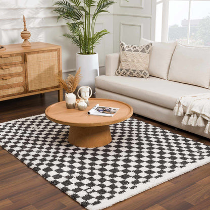 Kieu Black & White Checkered Area Rug - Decor Addict, LLC