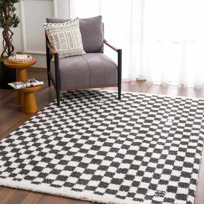 Kieu Black & White Checkered Area Rug - Decor Addict, LLC